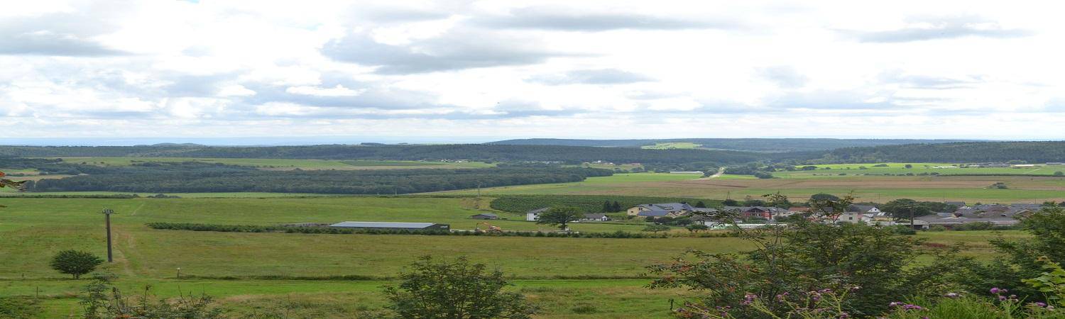 Landschaft