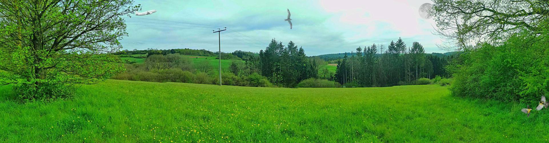 Landschaft